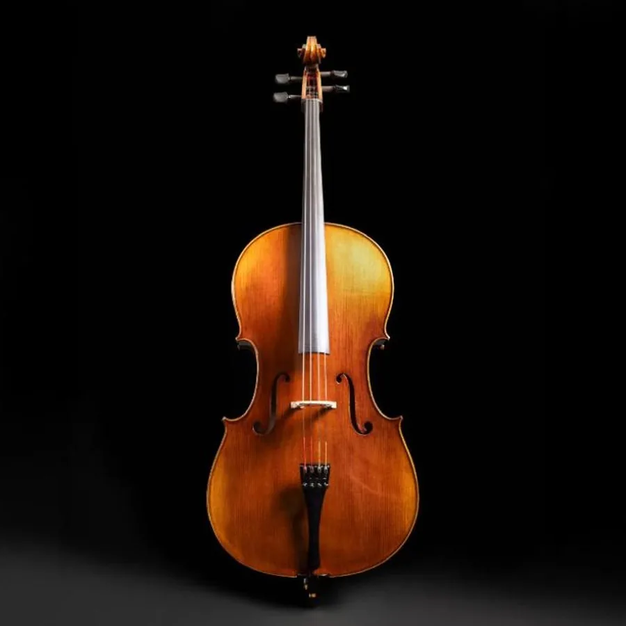 Violoncelo em detalhe